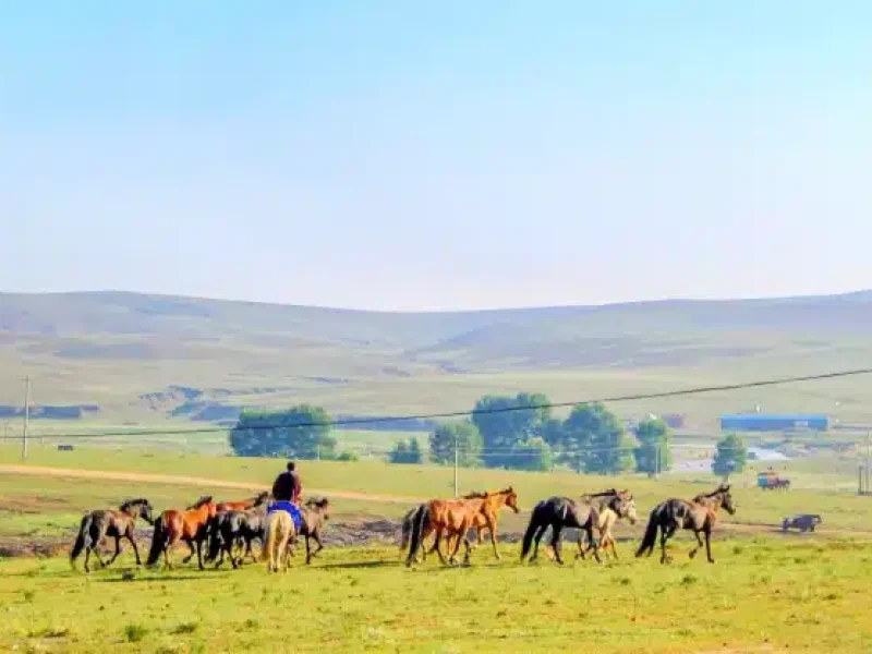 Inner-Mongolia-Xilamuren-Grassland