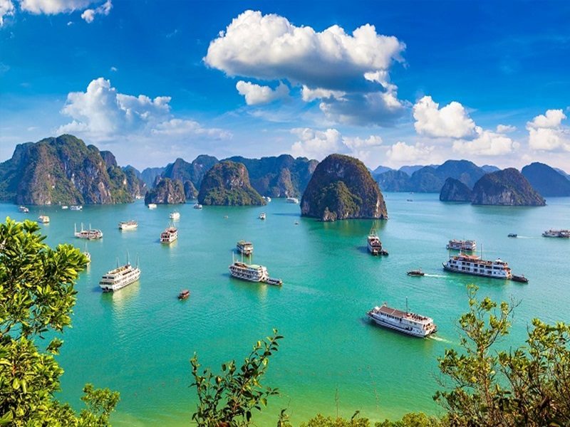 Halong bay best cruise