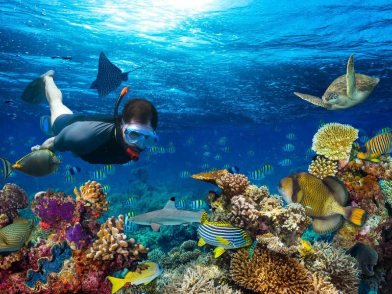 snorkeling-in-banana-reef-maldives-1024x683